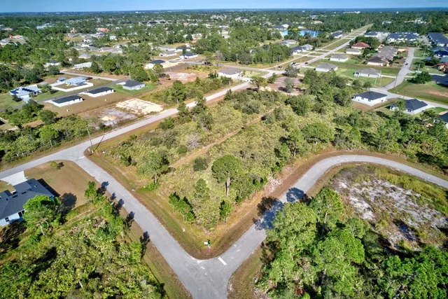 an aerial view of a house with a yard and large trees