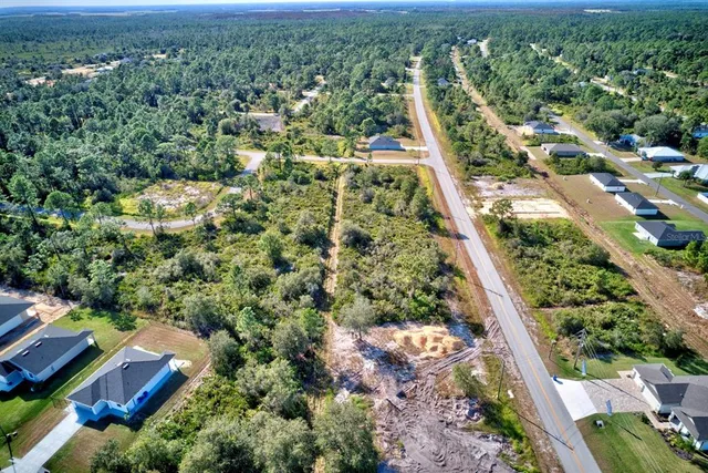 a view of a garden with plants