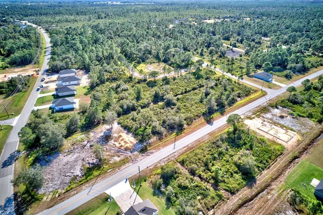 an aerial view of residential houses with outdoor space and trees