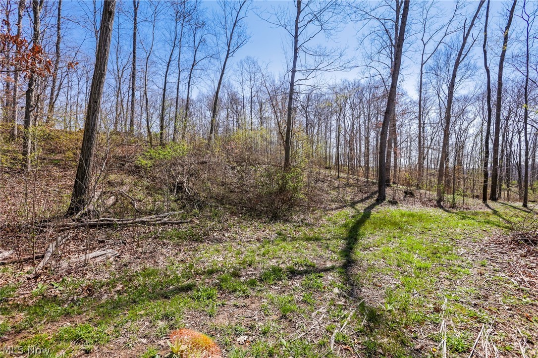 4502 Clover Road Cumberland, OH 43732 - Photo 31 of 38 View of local wilderness