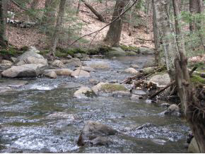 0 Bailey Brook Road Stoddard, NH 03464 - Photo 11 of 13 Gallery Image 11