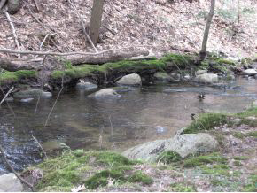 0 Bailey Brook Road Stoddard, NH 03464 - Photo 12 of 13 Gallery Image 12