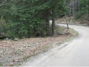 0 Bailey Brook Road Stoddard, NH 03464 - Photo 4 of 13 Gallery Image 4