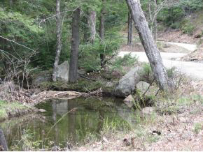 0 Bailey Brook Road Stoddard, NH 03464 - Photo 6 of 13 Gallery Image 6