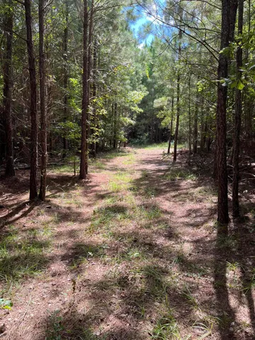 $123,260 | 0 Cherry Hill Road, Orangeburg, SC 29115