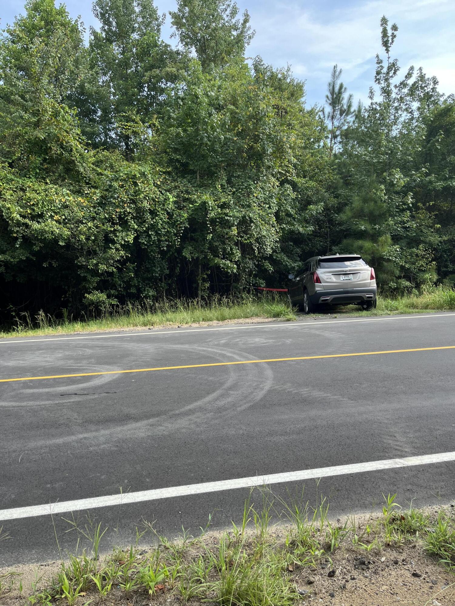 0 Cherry Hill Road Orangeburg, SC 29115 - Photo 4 of 6 IMG_5718