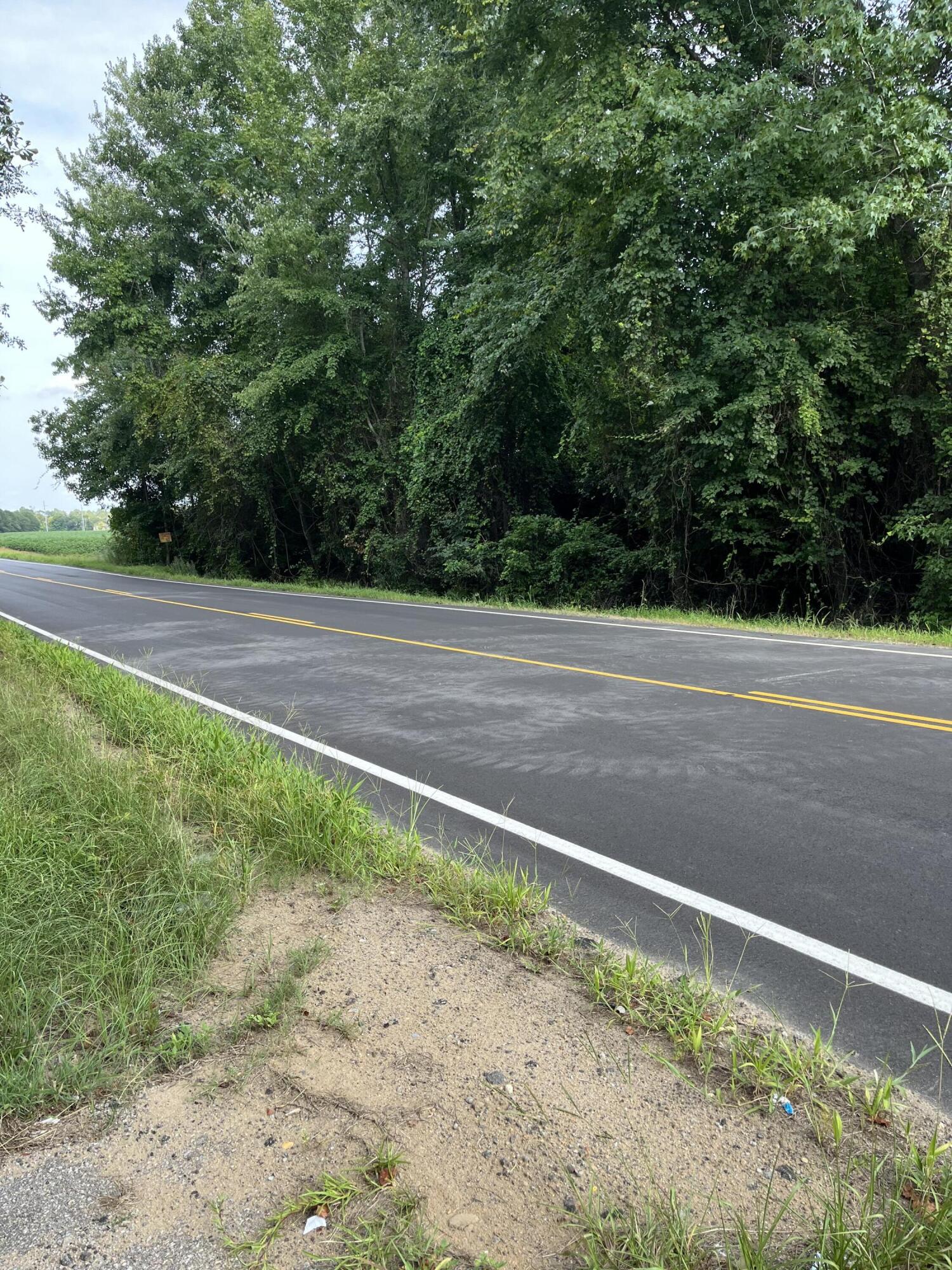 0 Cherry Hill Road Orangeburg, SC 29115 - Photo 6 of 6 IMG_5719