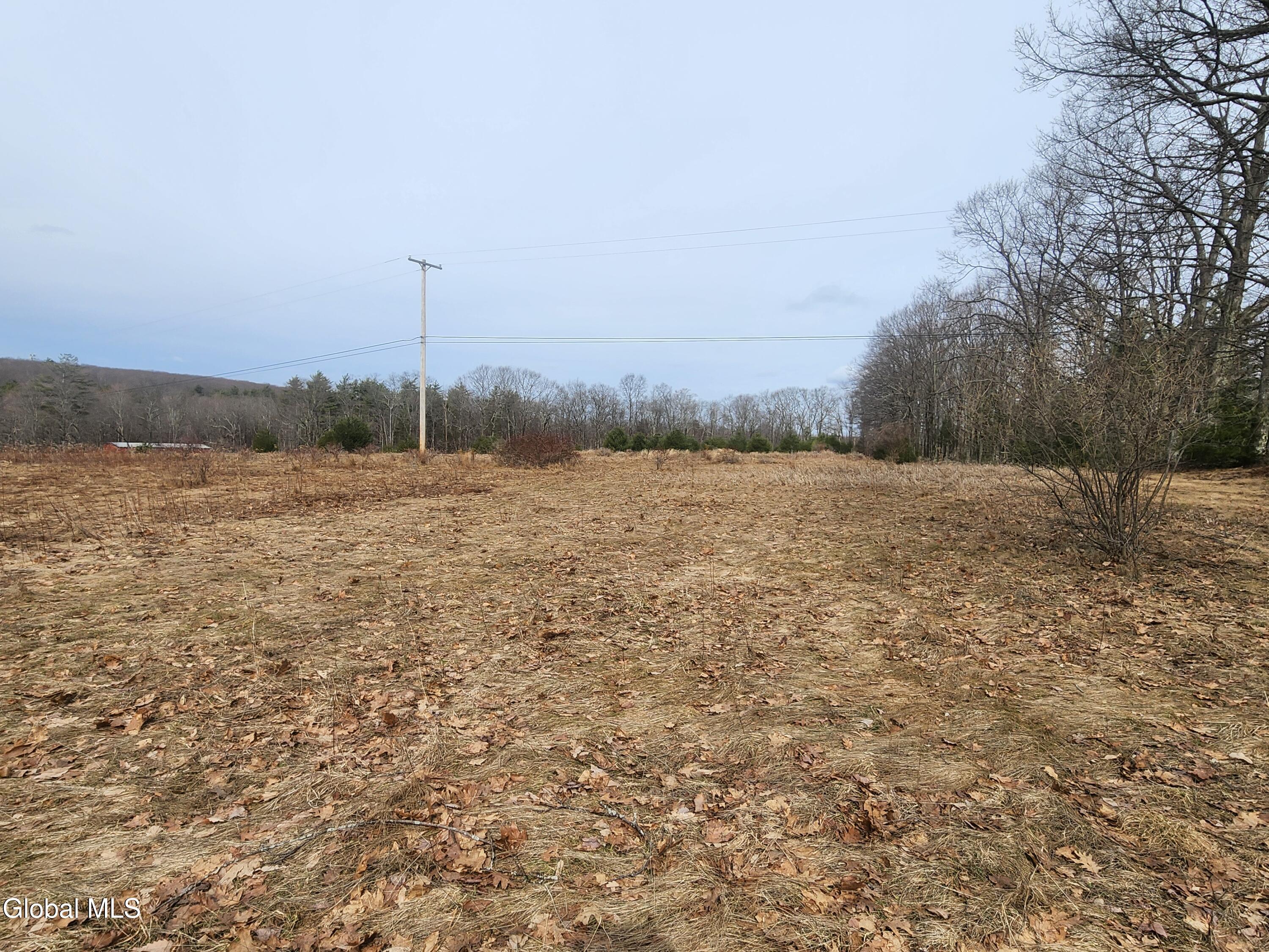 23.3 Lynn Road Averill Park, NY 12018 - Photo 11 of 11 20260313_111952