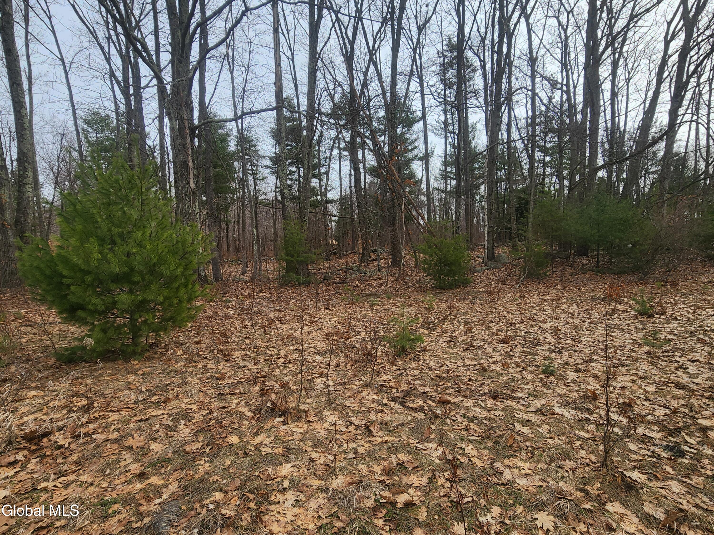 23.3 Lynn Road Averill Park, NY 12018 - Photo 3 of 11 20260313_111354