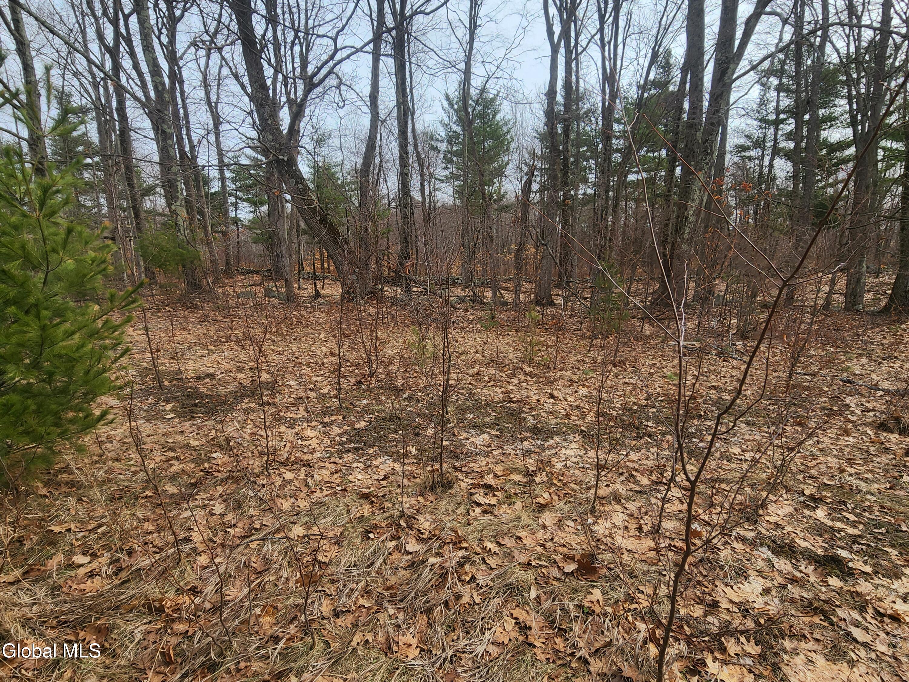 23.3 Lynn Road Averill Park, NY 12018 - Photo 5 of 11 20260313_111518