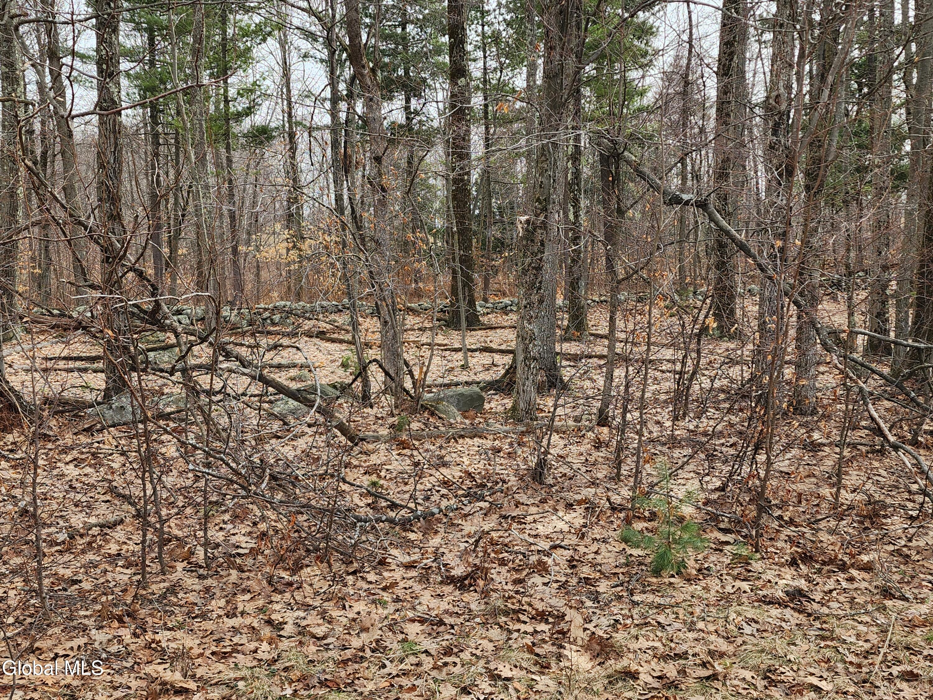 23.3 Lynn Road Averill Park, NY 12018 - Photo 6 of 11 20260313_111534