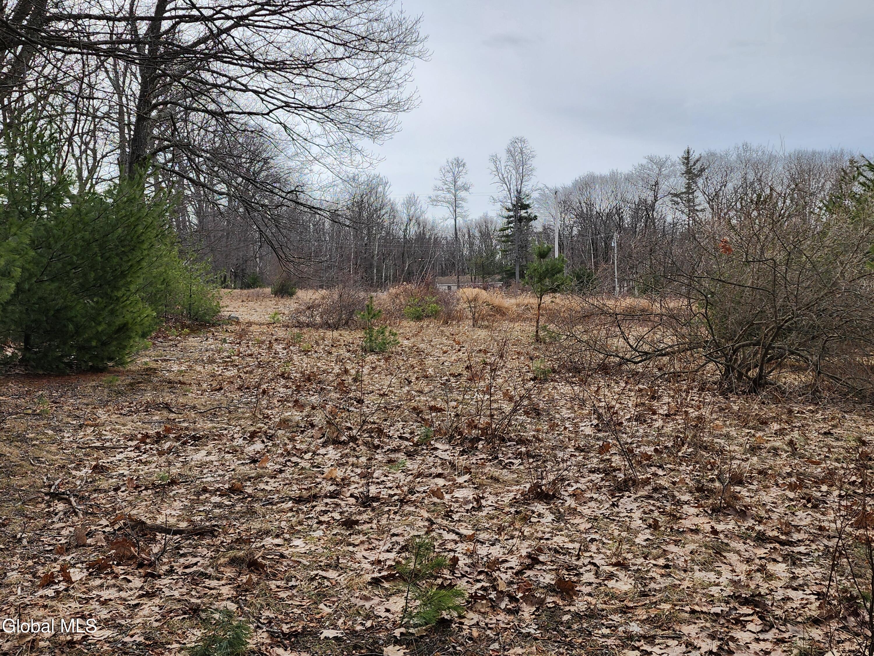 23.3 Lynn Road Averill Park, NY 12018 - Photo 7 of 11 20260313_111617