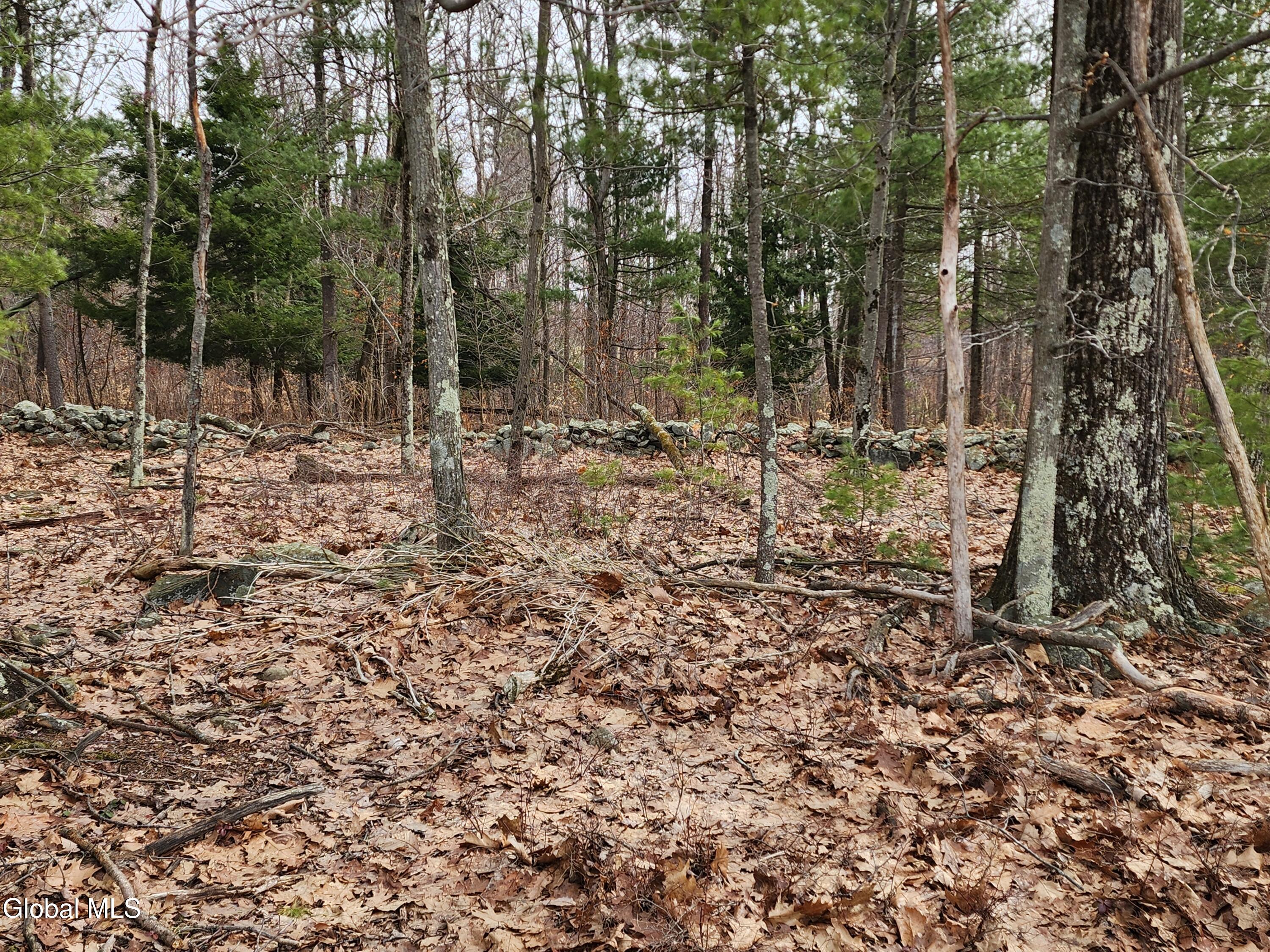 23.3 Lynn Road Averill Park, NY 12018 - Photo 8 of 11 20260313_111640