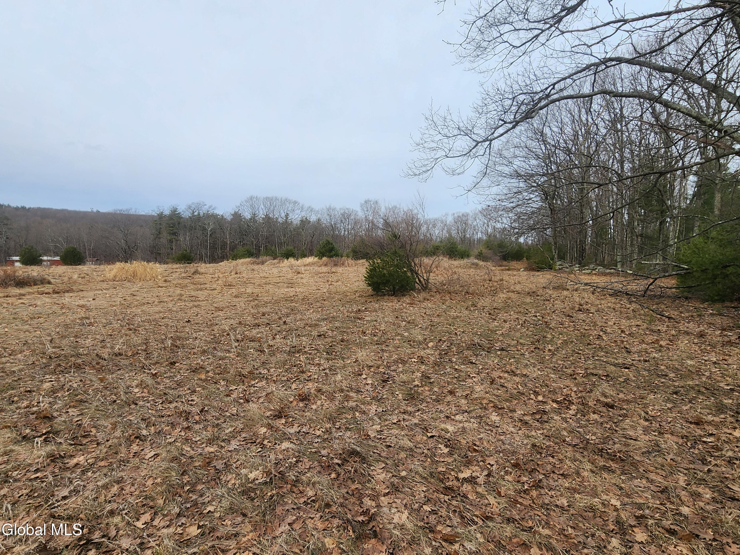 23.3 Lynn Road Averill Park, NY 12018 - Photo 9 of 11 20260313_111751