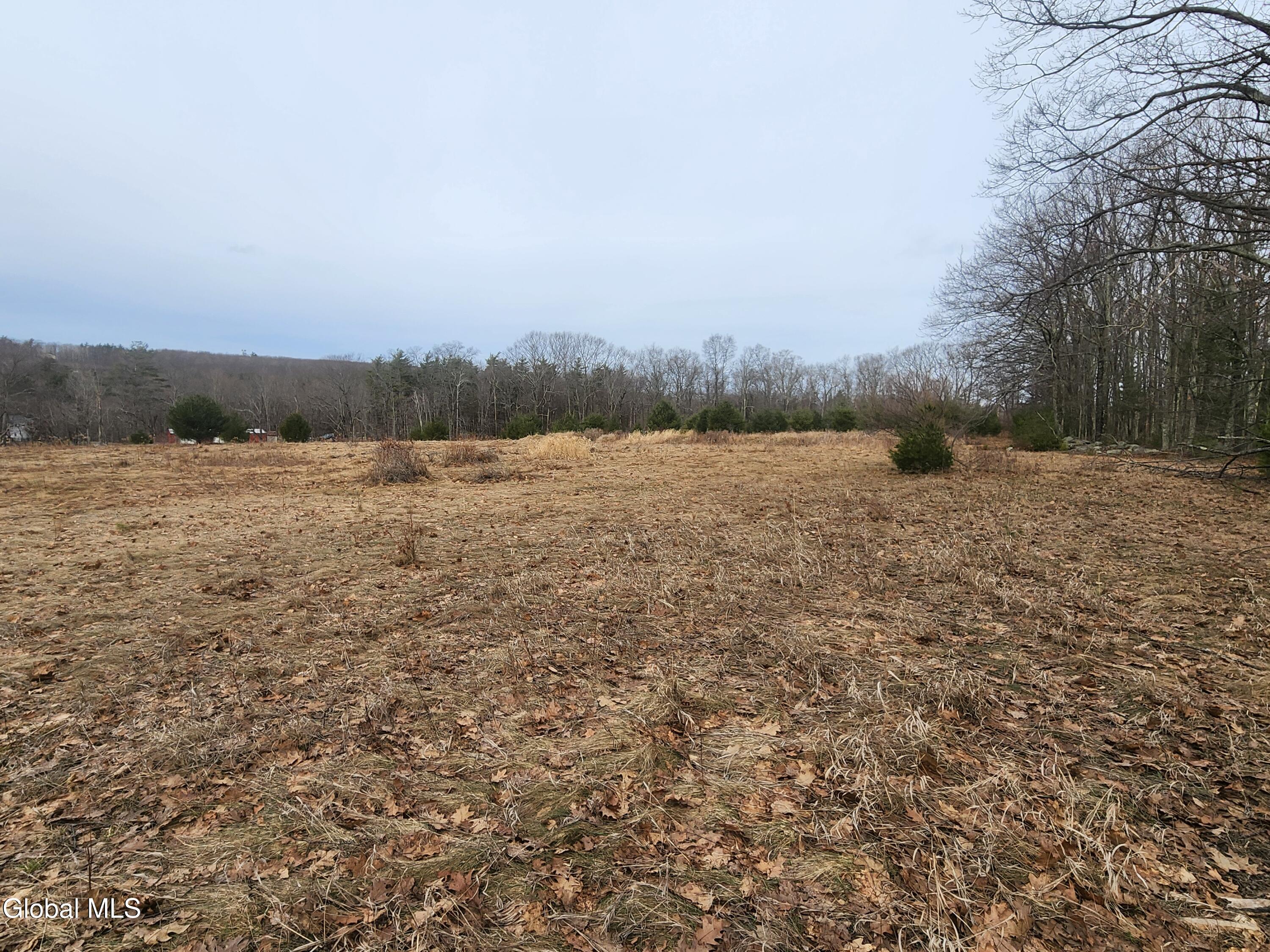 23.3 Lynn Road Averill Park, NY 12018 - Photo 10 of 11 20260313_111803