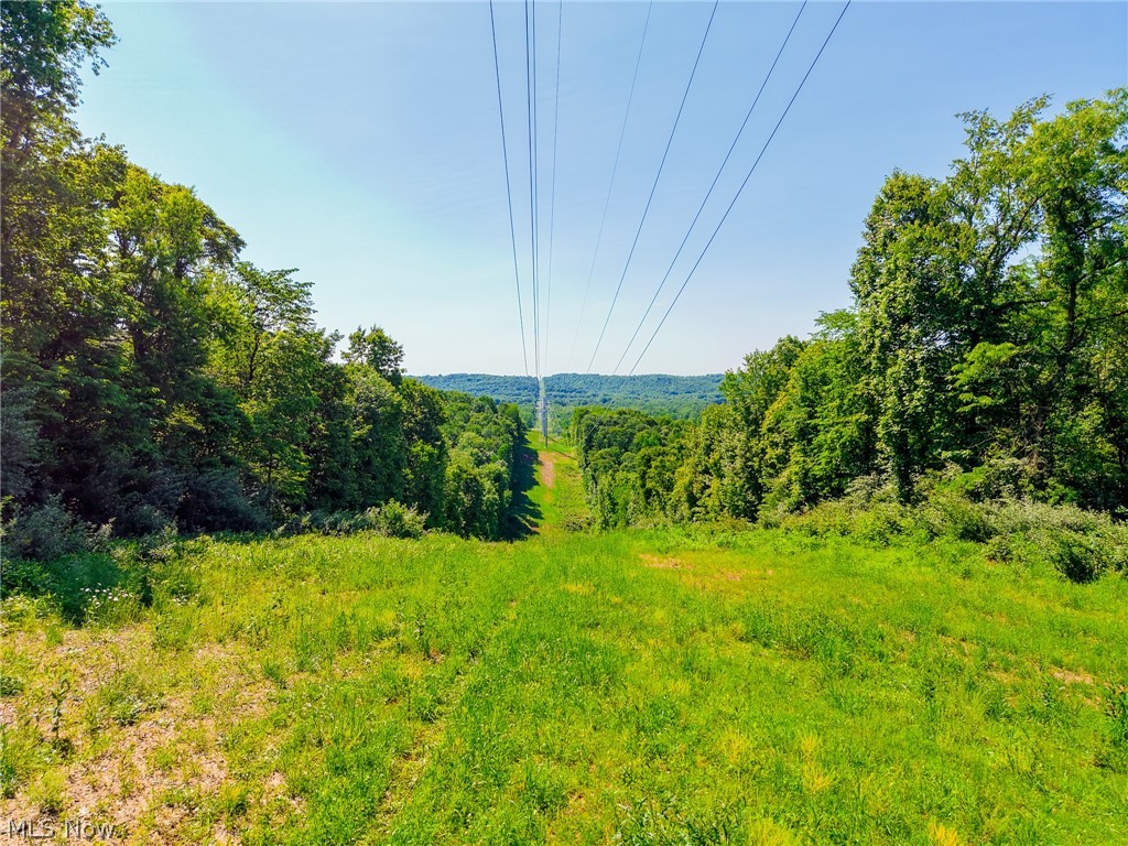 5568 Schoolhouse Road, Unit 7 Dresden, OH 43821 - Photo 41 of 42