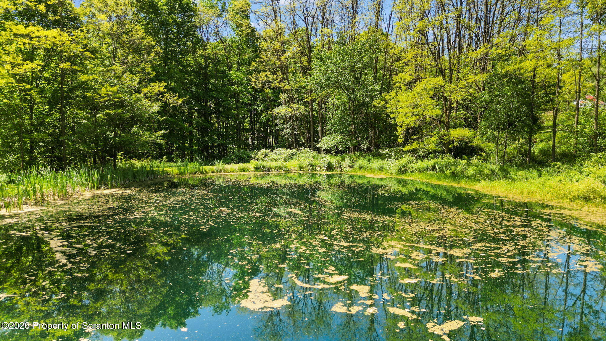 2161 Powers Road Susquehanna, PA 18847 - Photo 42 of 47 Pond