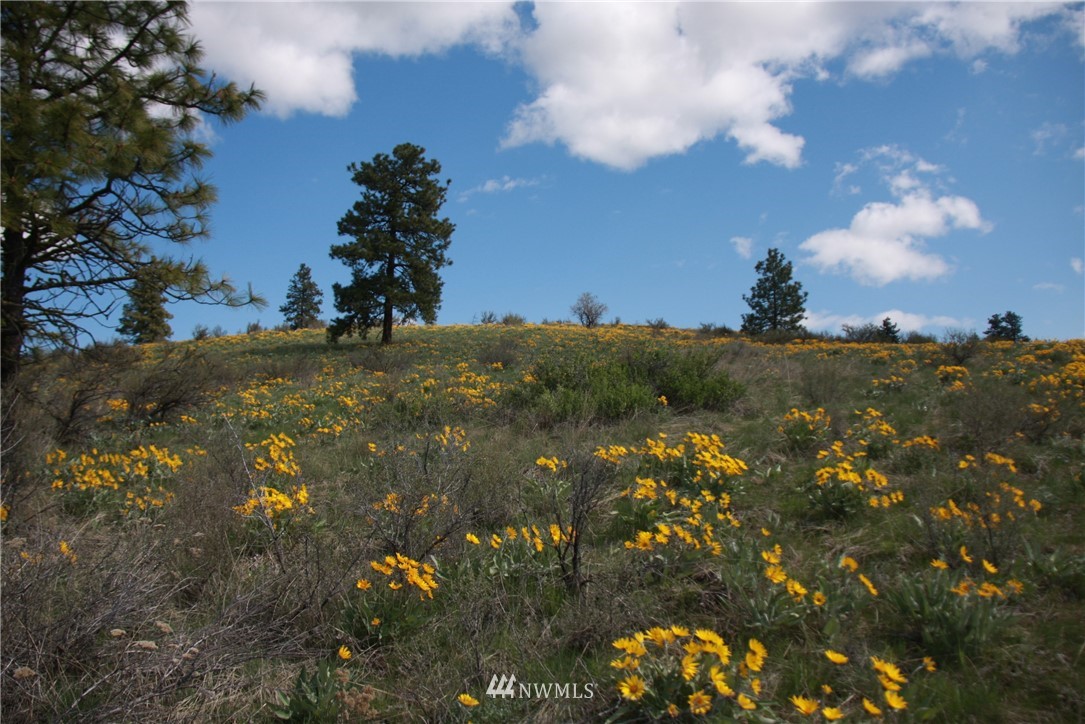 -lot C Union Valley Road Chelan, WA 98816 - Photo 3 of 7 Gallery Image 3