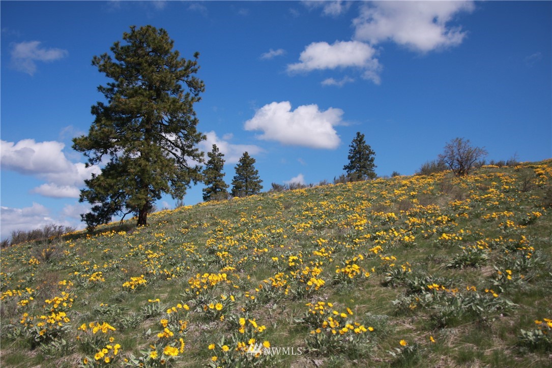 -lot C Union Valley Road Chelan, WA 98816 - Photo 4 of 7 Gallery Image 4