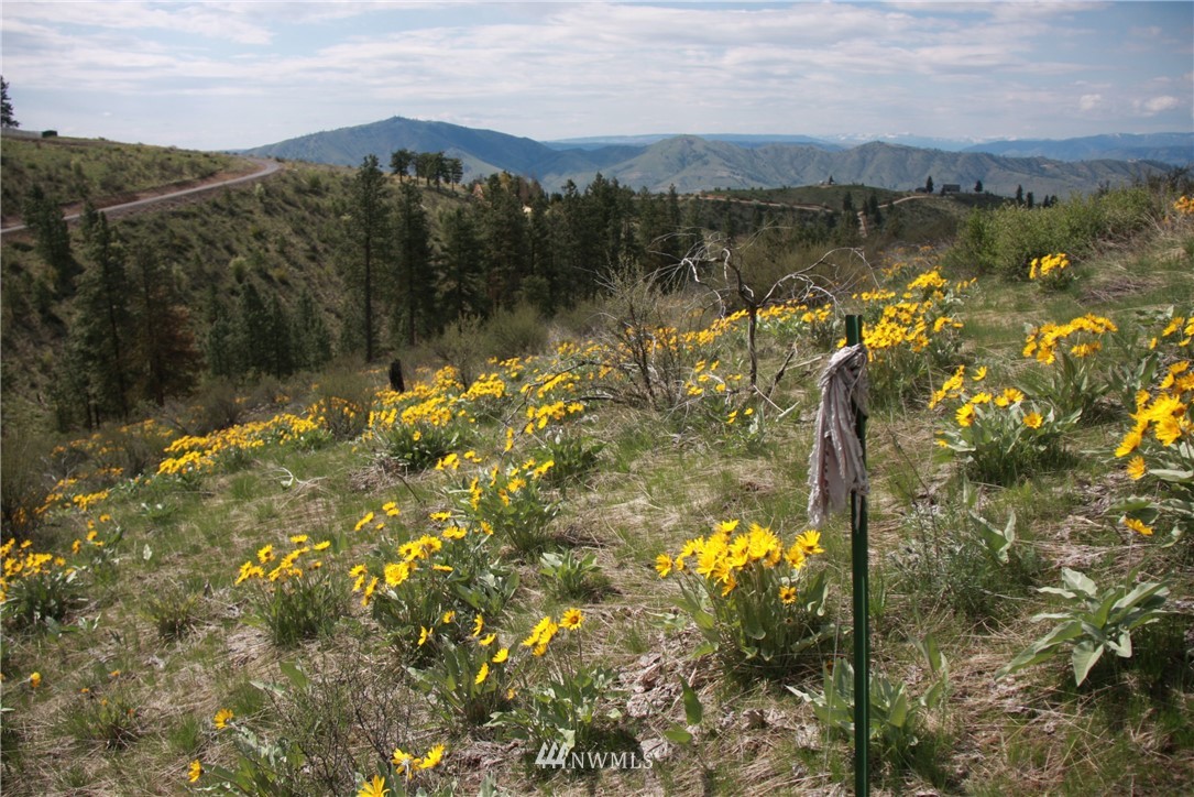 -lot C Union Valley Road Chelan, WA 98816 - Photo 6 of 7 Gallery Image 6