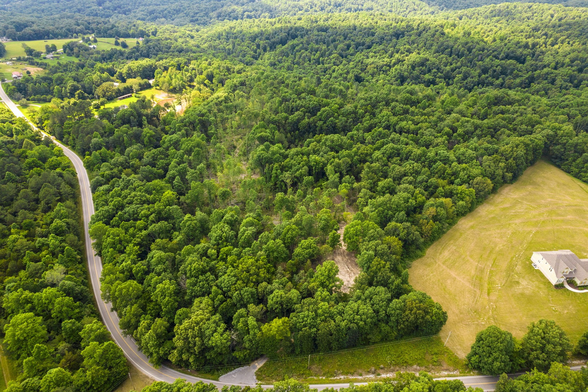 7952 Daugherty-Capley Road Primm Springs, TN 38476 - Photo 42 of 44