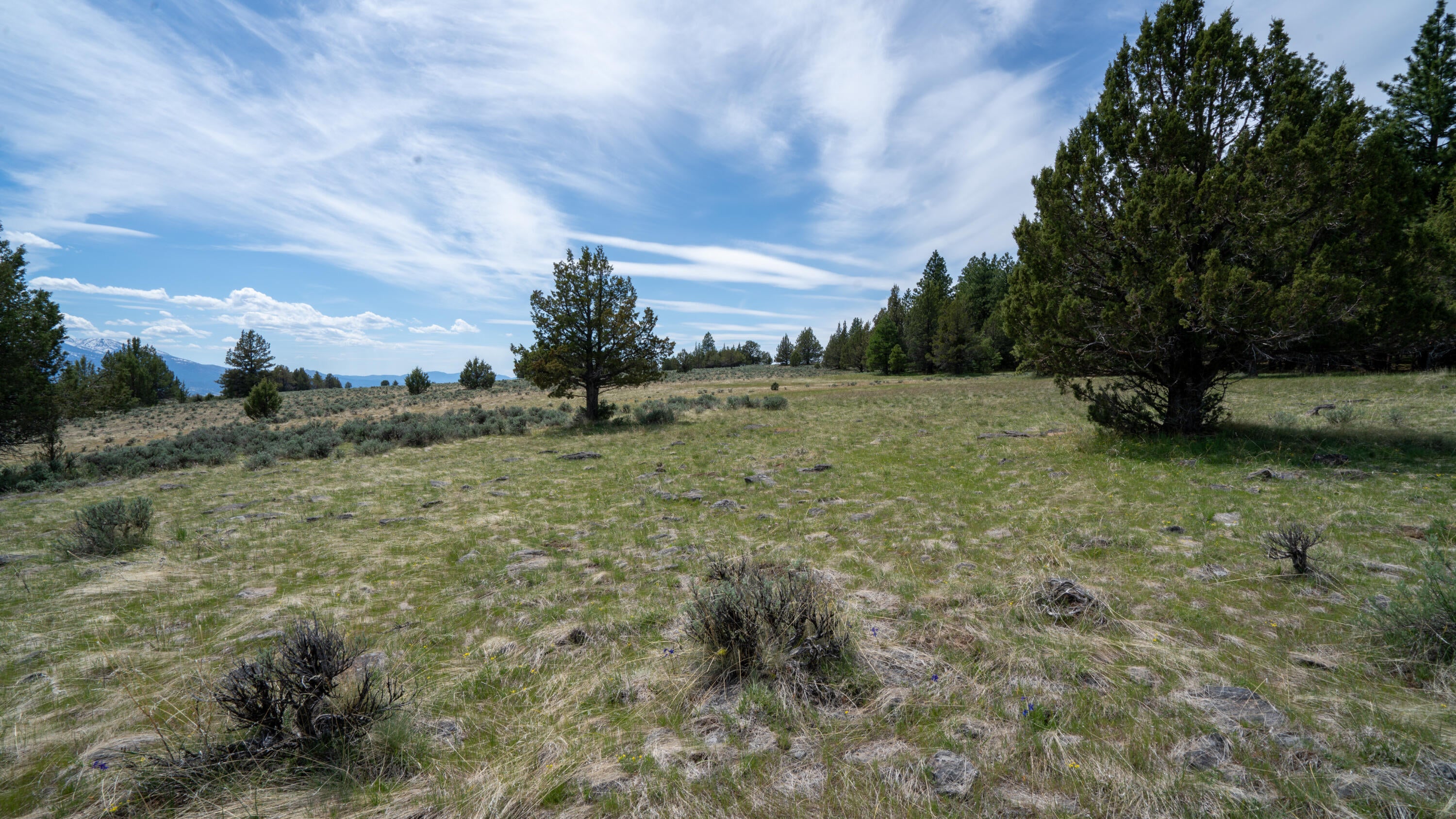 Keeney Fork Rd Prairie Prairie City, OR 97869 - Photo 28 of 61 DSC00845