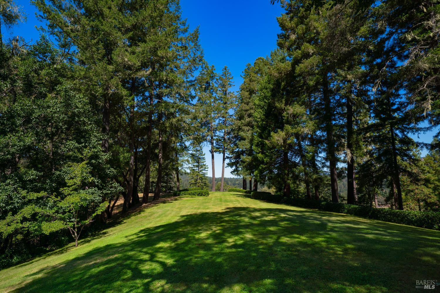 20205 Tumbling McD Road Philo, CA 95466 - Photo 46 of 78