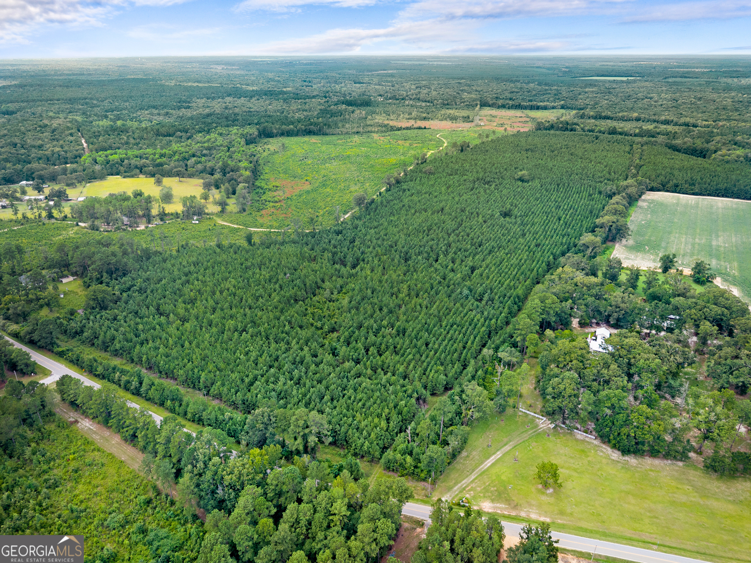 Apprx 14-acres Old River Road North Statesboro, GA 30461 - Photo 6 of 11 a view of a lake with a yard