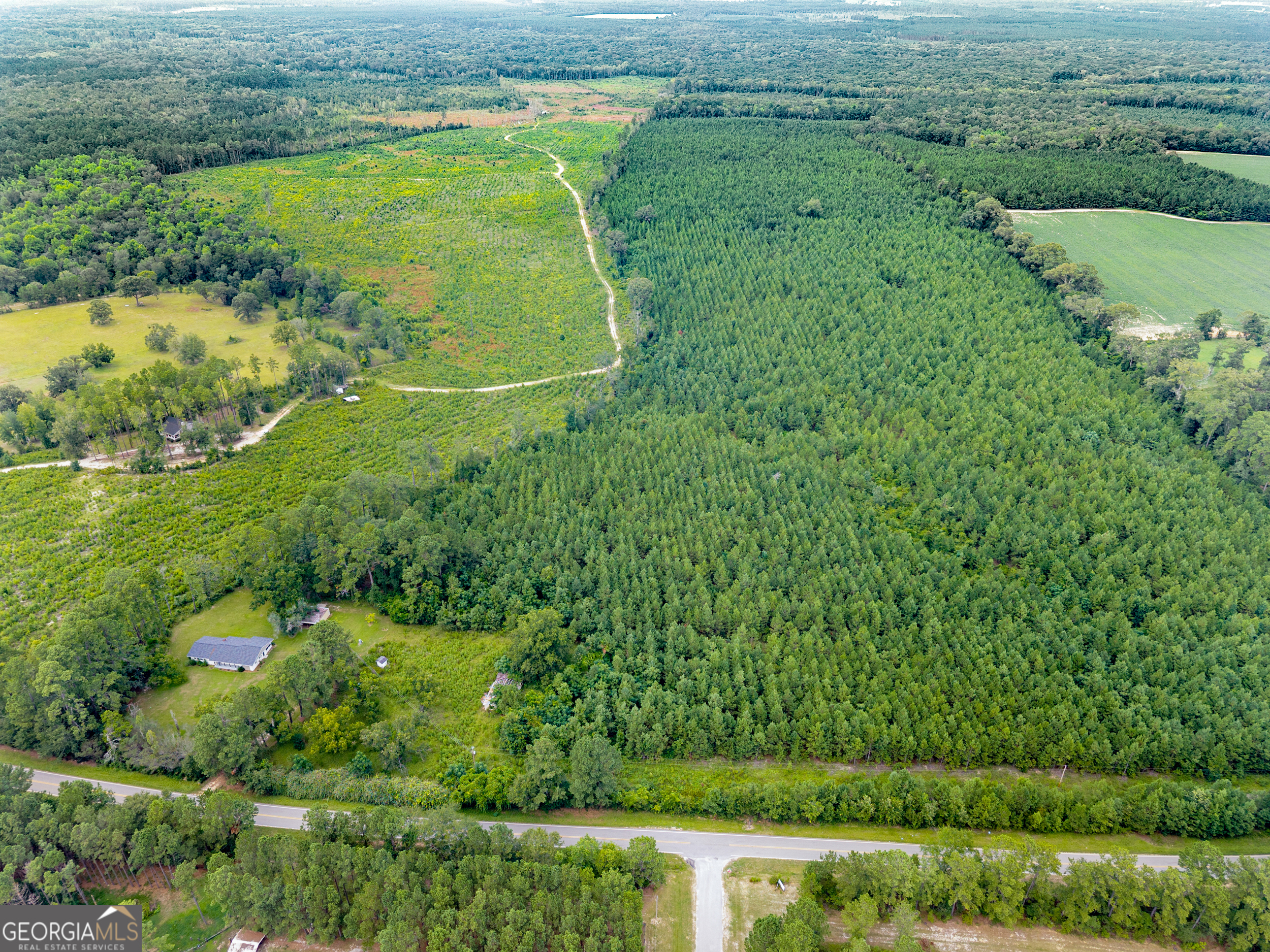 Apprx 14-acres Old River Road North Statesboro, GA 30461 - Photo 7 of 11 a view of a green yard