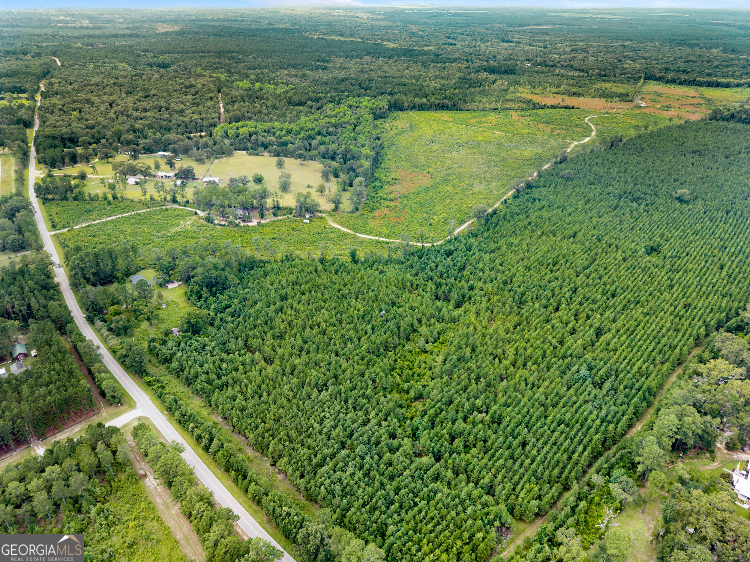 Apprx 14-acres Old River Road North Statesboro, GA 30461 - Photo 8 of 11