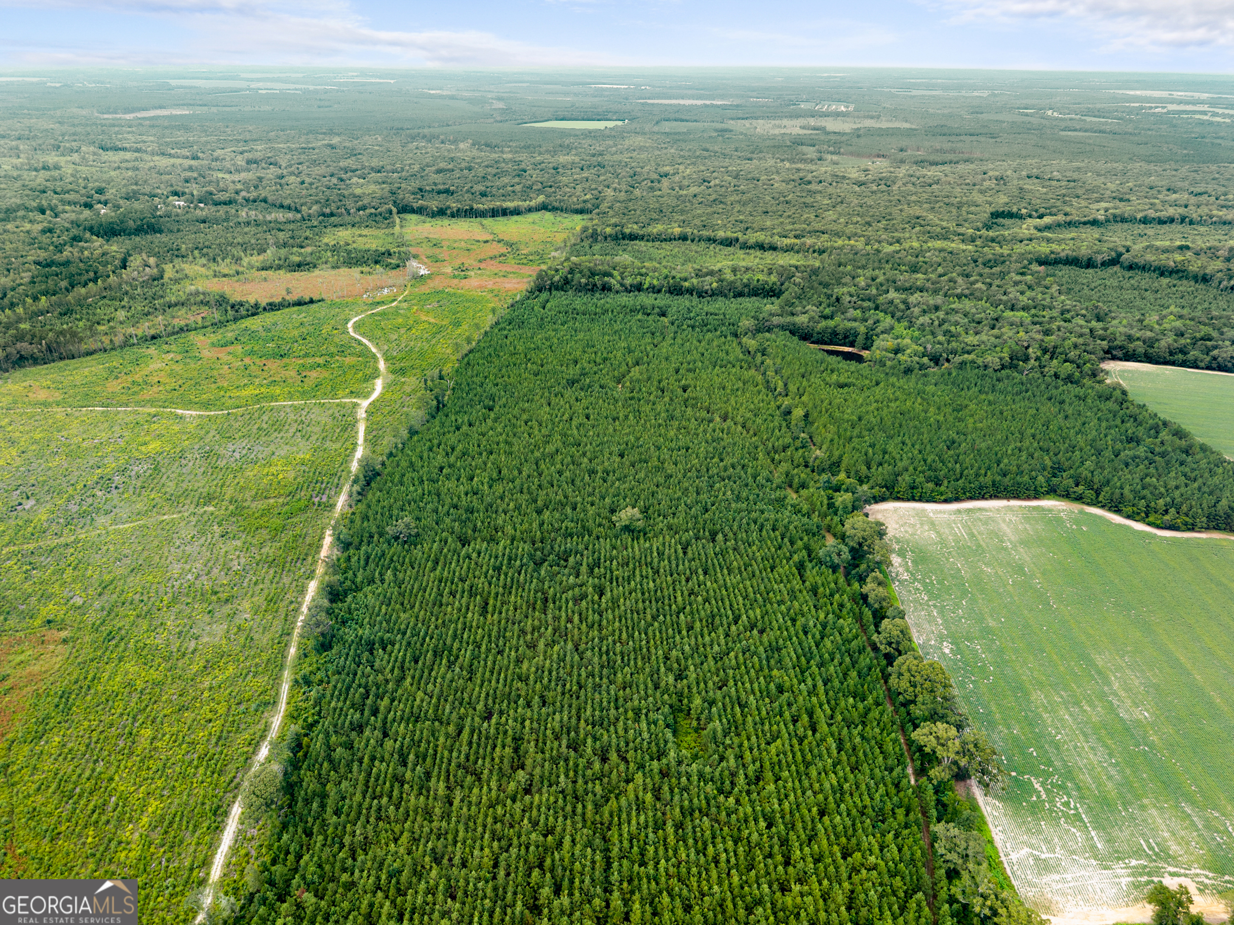 Apprx 14-acres Old River Road North Statesboro, GA 30461 - Photo 9 of 11 a view of a field with an ocean