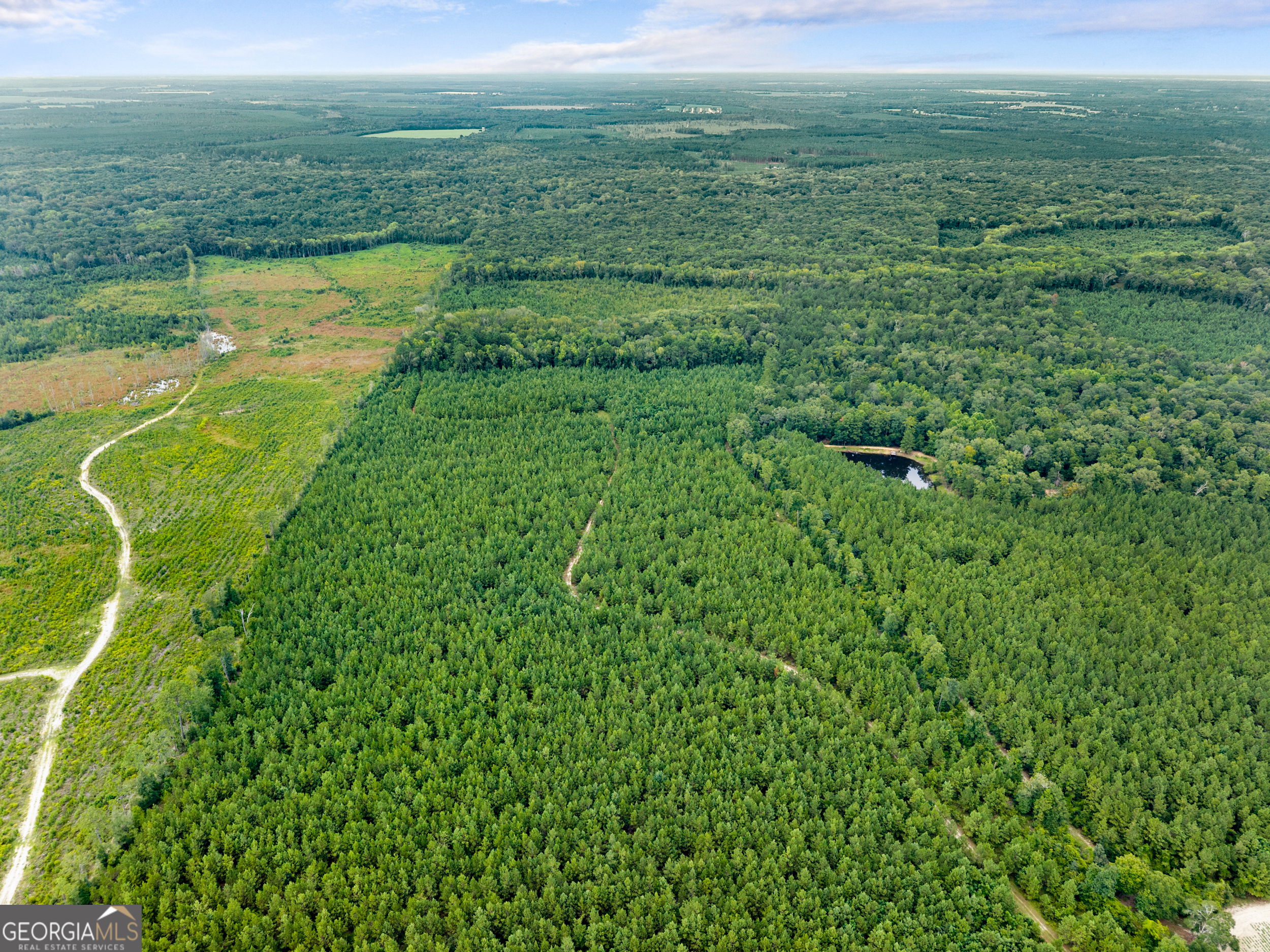 Apprx 14-acres Old River Road North Statesboro, GA 30461 - Photo 10 of 11 a view of a green field with an ocean view