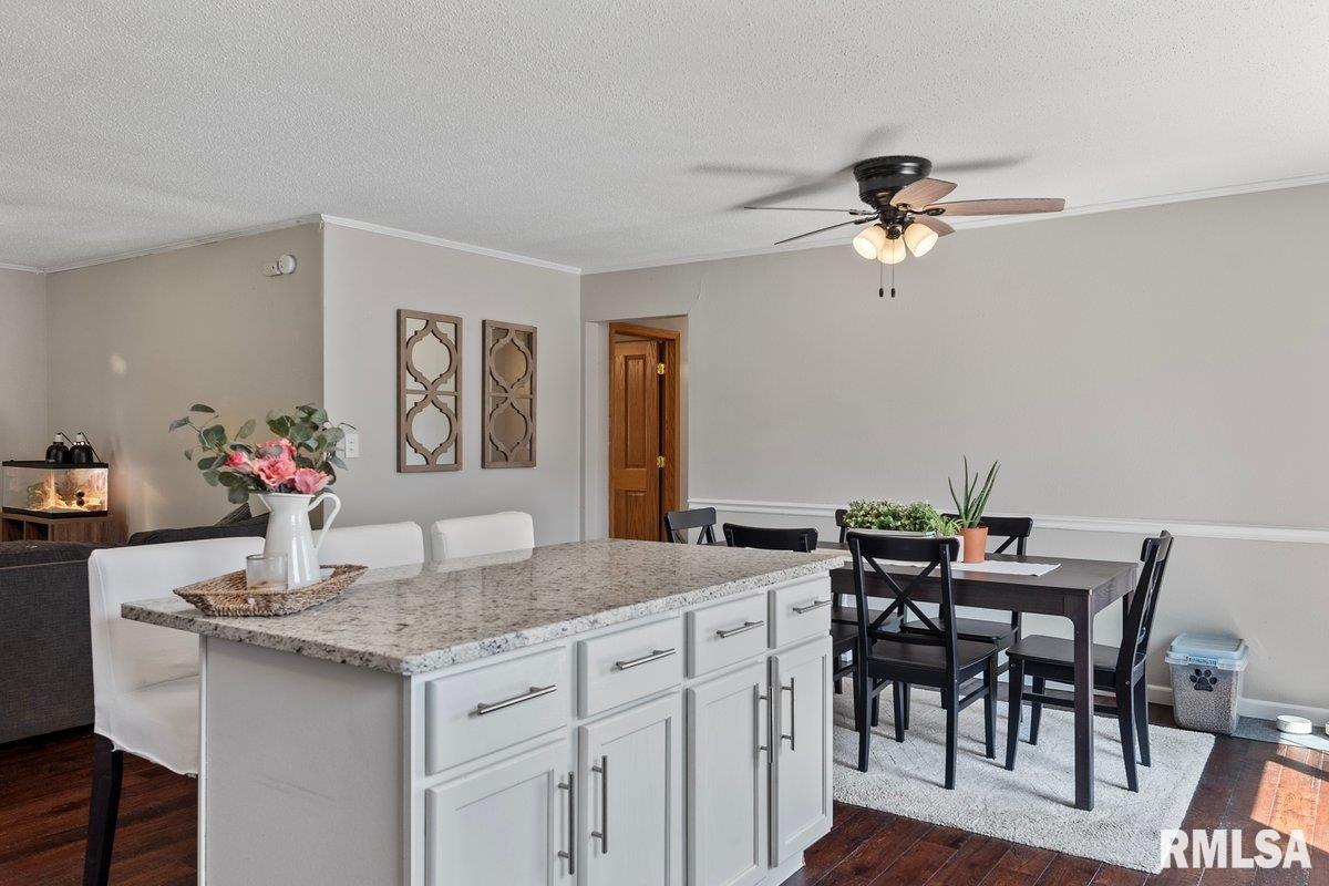 107 Buckingham Road Chatham, IL 62629 - Photo 9 of 22 Gallery Image 9