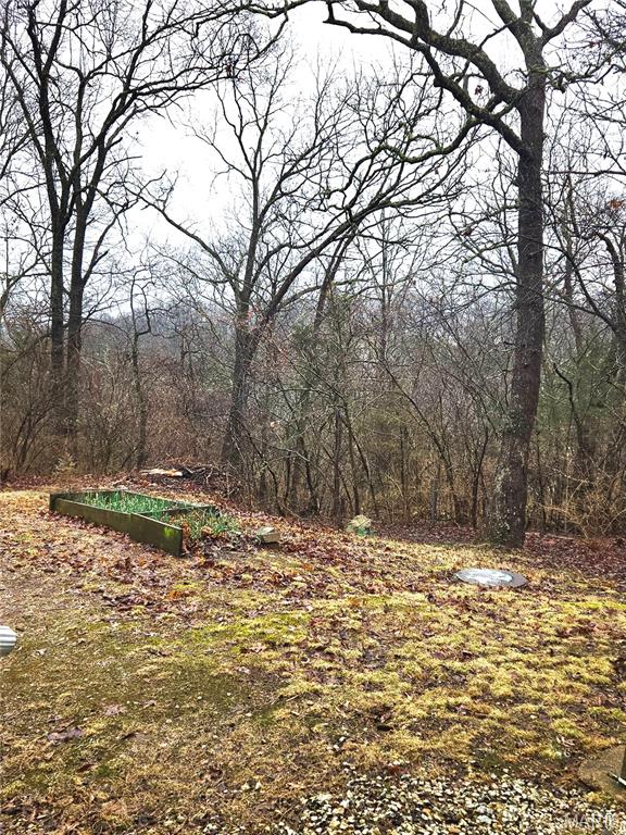 328 Sirius Road De Soto, MO 63020 - Photo 12 of 14