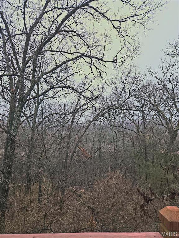 328 Sirius Road De Soto, MO 63020 - Photo 14 of 14