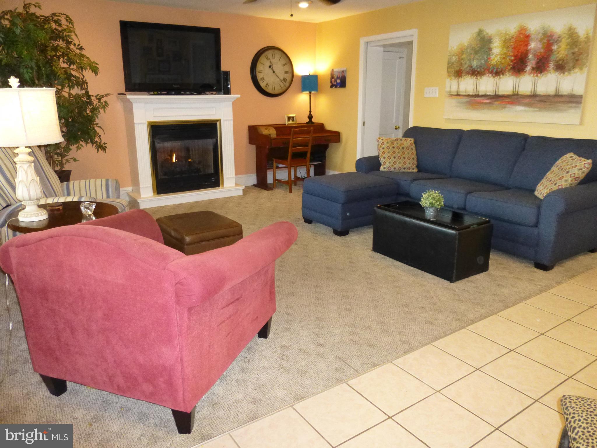122 Barbara Drive Springfield, PA 19064 - Photo 14 of 43 Family Room ADDITION - Gas Fireplace