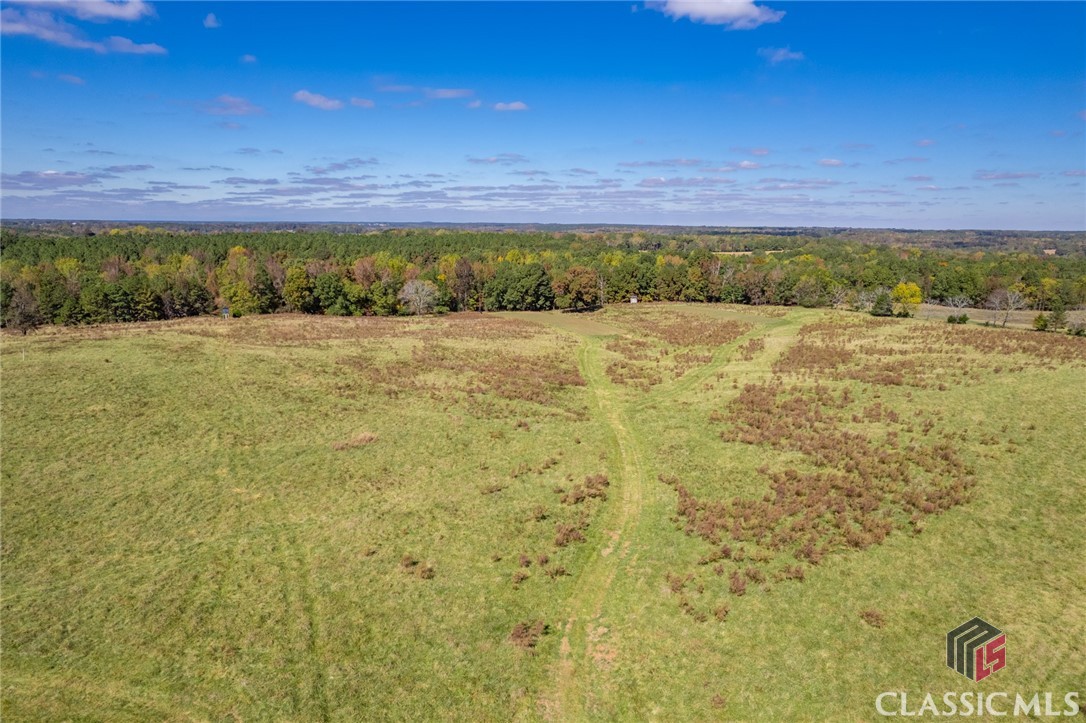 Lot 12 Wallace Road Madison, GA 30650 - Photo 3 of 8