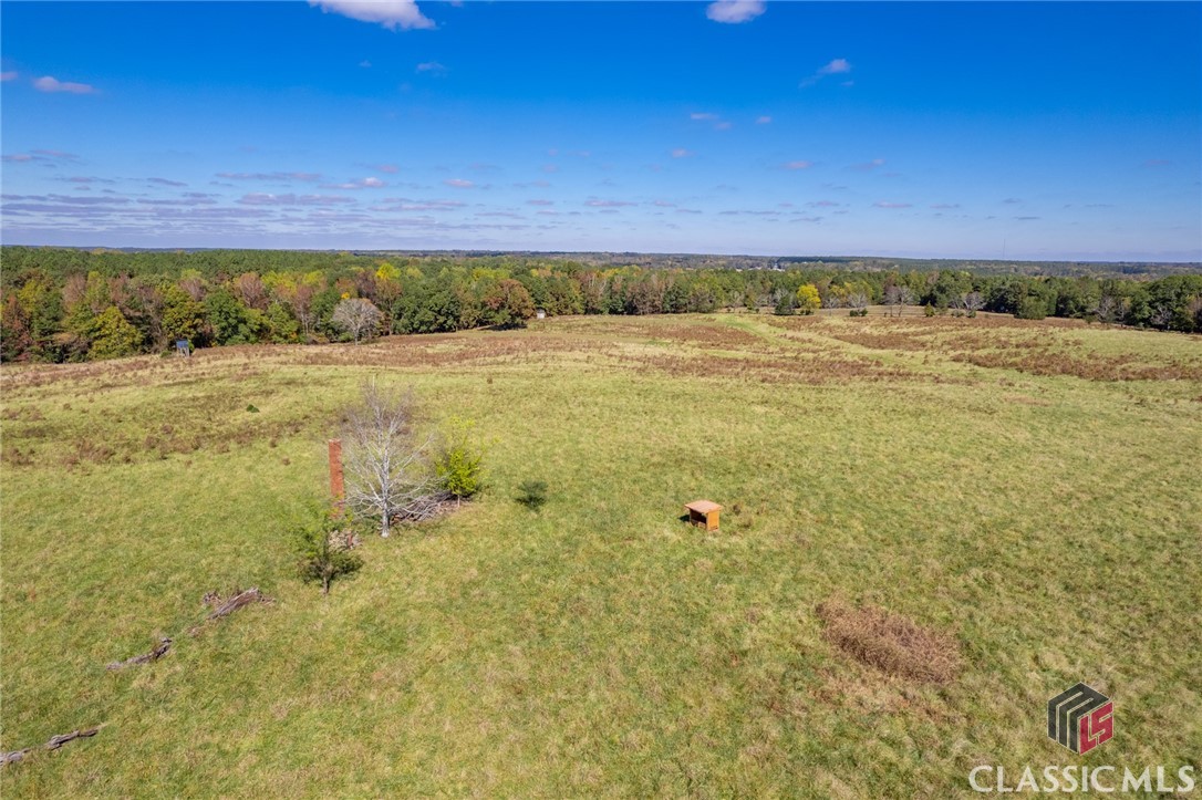 Lot 12 Wallace Road Madison, GA 30650 - Photo 5 of 8