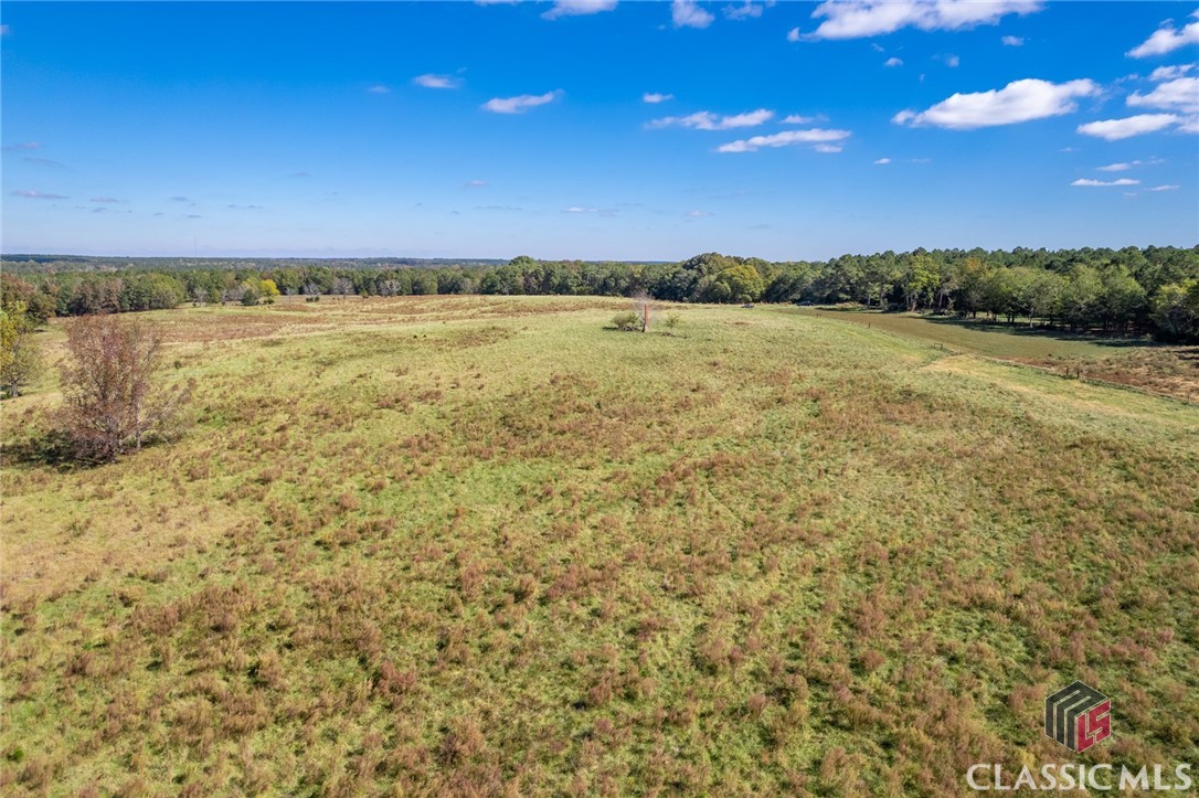 Lot 12 Wallace Road Madison, GA 30650 - Photo 6 of 8