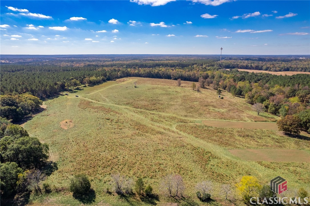 Lot 12 Wallace Road Madison, GA 30650 - Photo 7 of 8