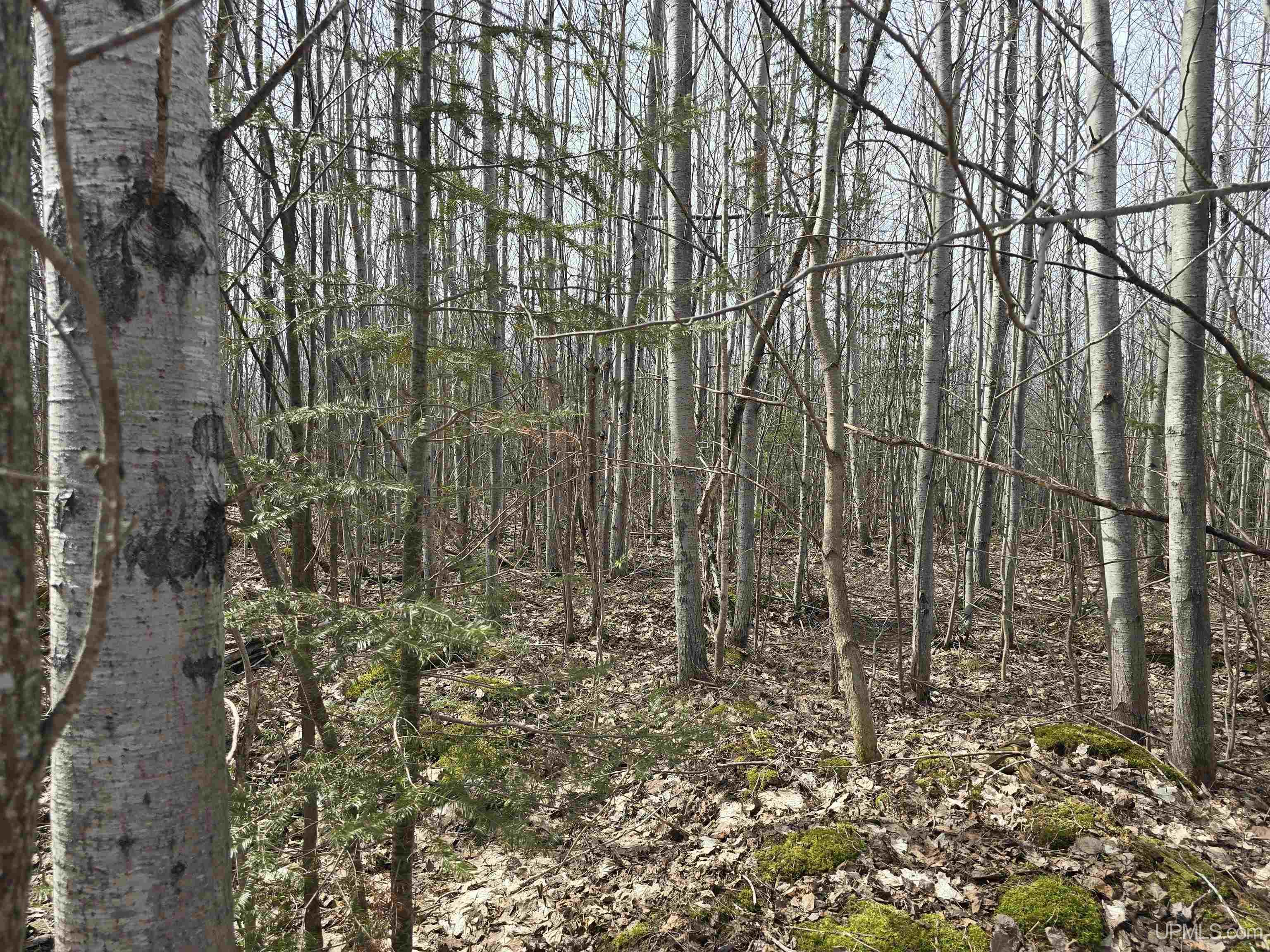 Tbd Woodspur Road Ontonagon, MI 49953 - Photo 26 of 46