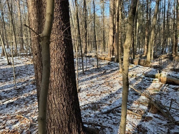 0 Mathews Road South Deerfield, MA 01373 - Photo 16 of 23 Gallery Image 16