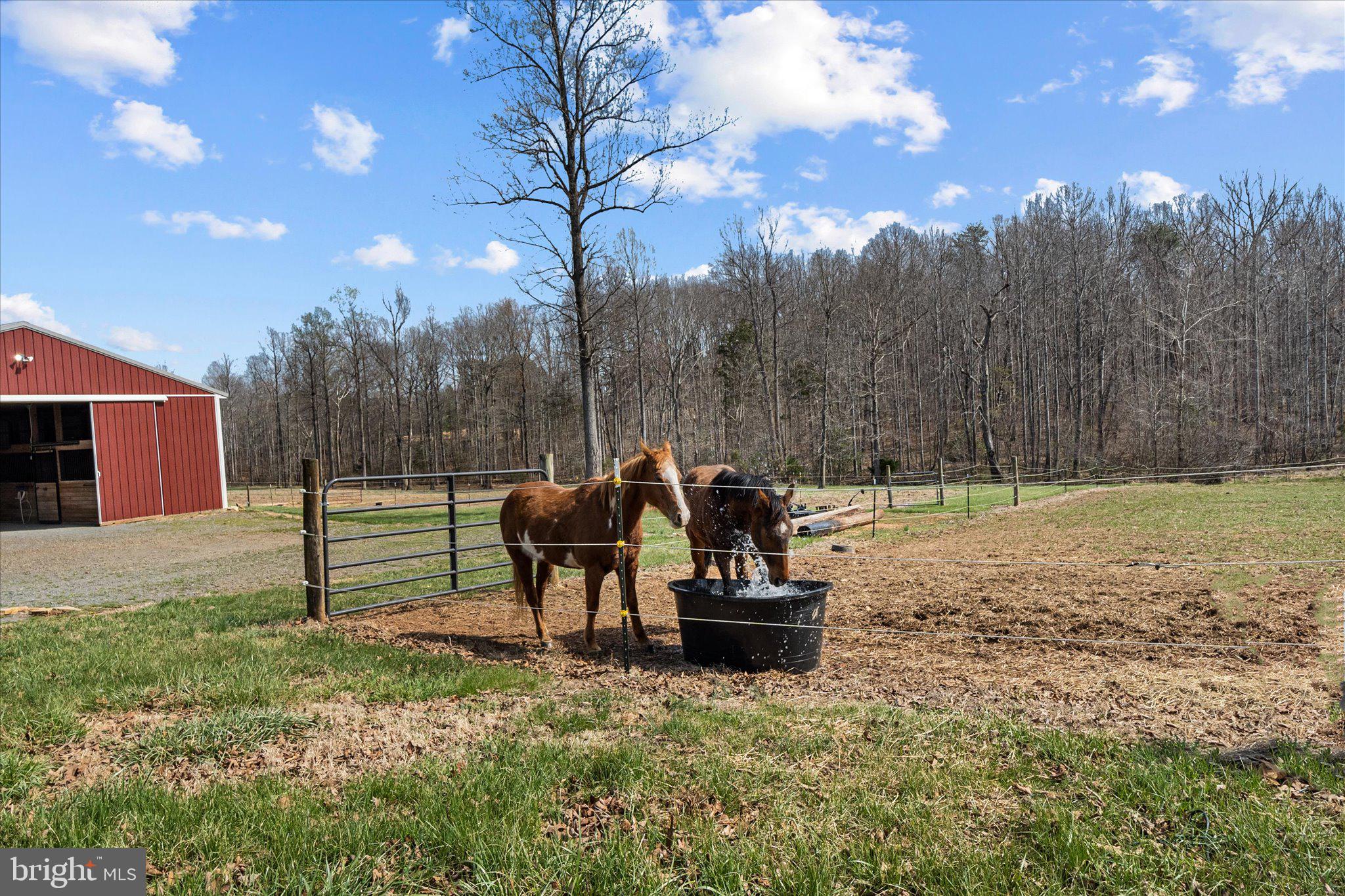 9107 Grasty Gold Mine Road Rhoadesville, VA 22542 - Photo 69 of 72