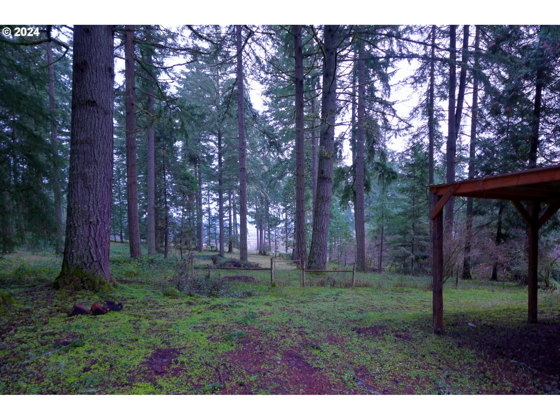31746 Camas Swale Road Creswell, OR 97426 - Photo 29 of 46 Gallery Image 29