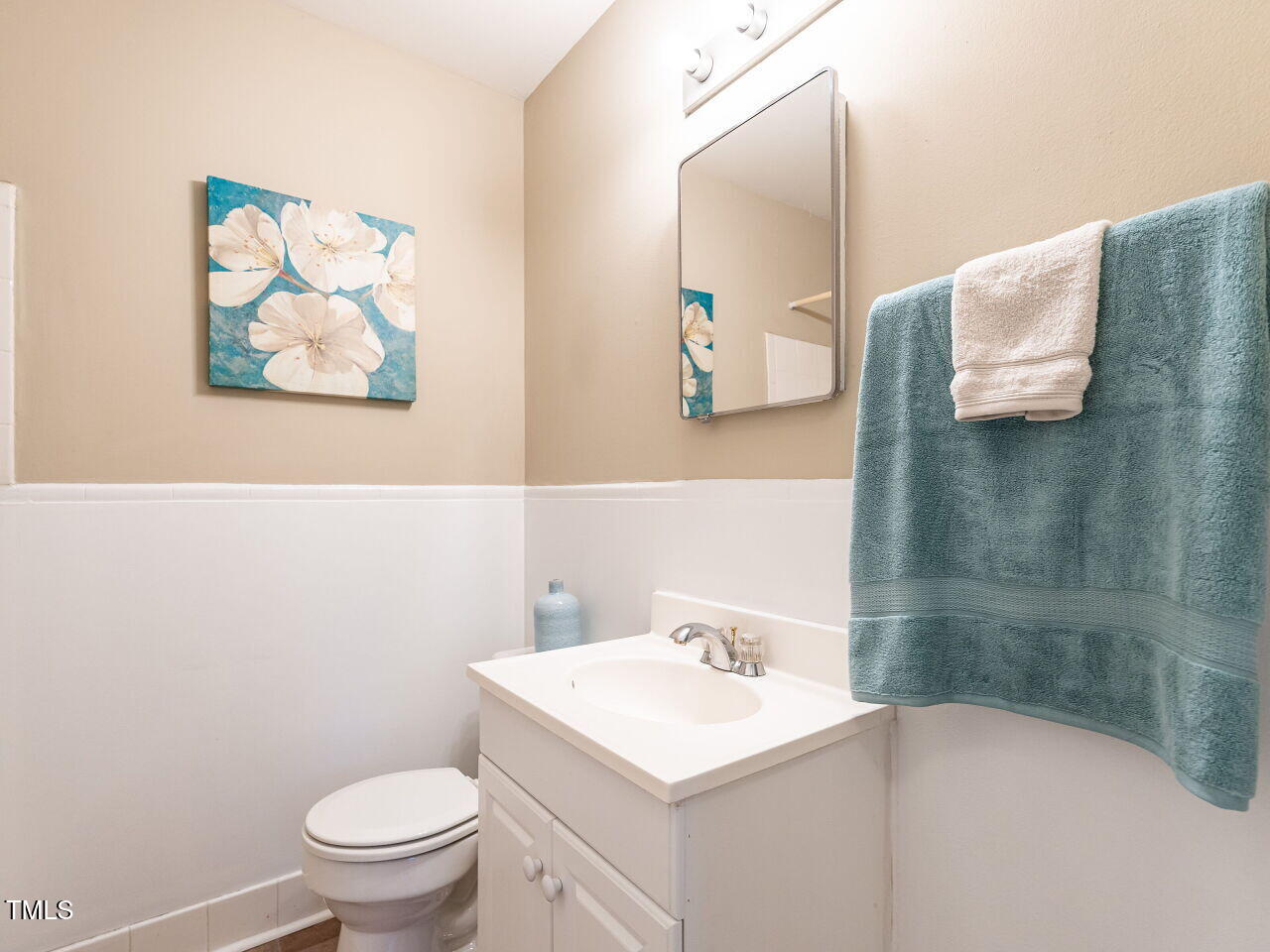 829 Greenwich Street Raleigh, NC 27610 - Photo 22 of 29 a bathroom with a sink mirror and toilet