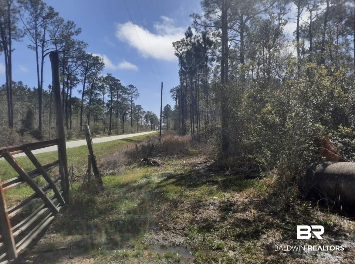 0 South Heron Bay Loop Road South Coden, AL 36523 - Photo 6 of 6