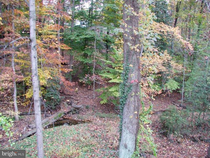 946 Swinks Mill Road McLean, VA 22102 - Photo 23 of 27 Peaceful and Private