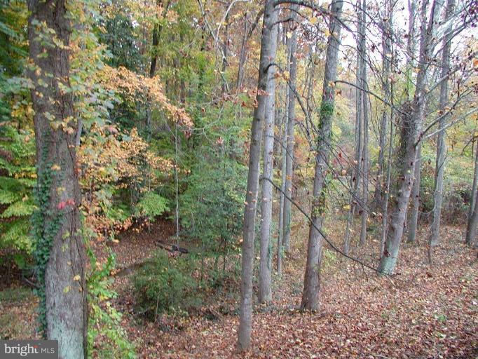 946 Swinks Mill Road McLean, VA 22102 - Photo 9 of 27 Treed and Private Backyard