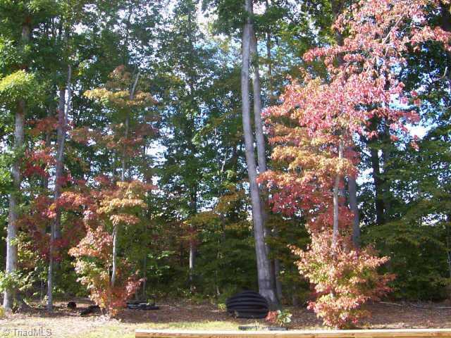 107 Peppertree Road Clemmons, NC 27012 - Photo 8 of 8 Other.