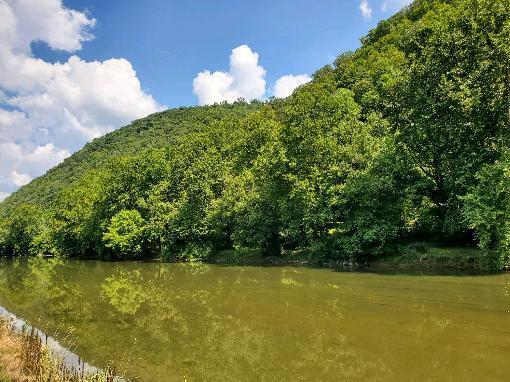 2367 Anglers Way Road Duffield, VA 24244 - Photo 11 of 11 136749